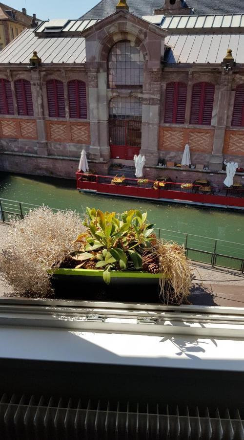New ! Vue Petite Venise, Place To Be - Parking Colmar Exterior foto